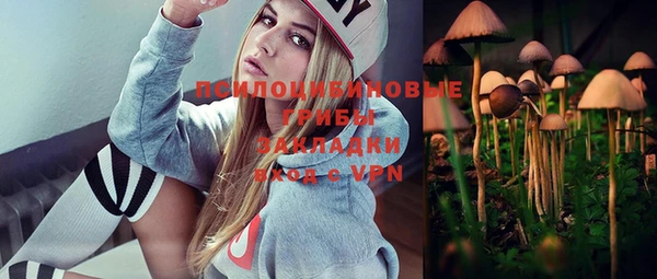 гидропоника Белокуриха